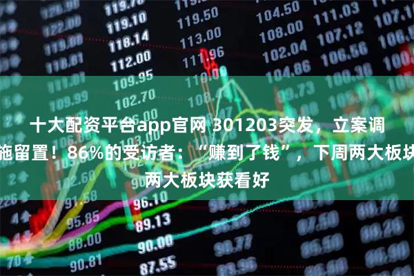 十大配资平台app官网 301203突发，立案调查并实施留置！86%的受访者：“赚到了钱”，下周两大板块获看好