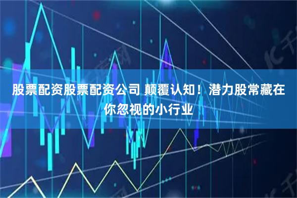 股票配资股票配资公司 颠覆认知！潜力股常藏在你忽视的小行业